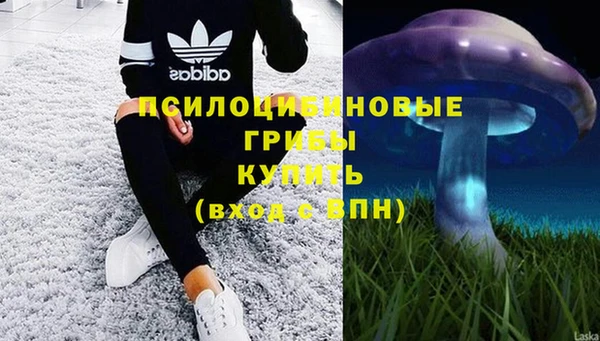 спайс Алексин