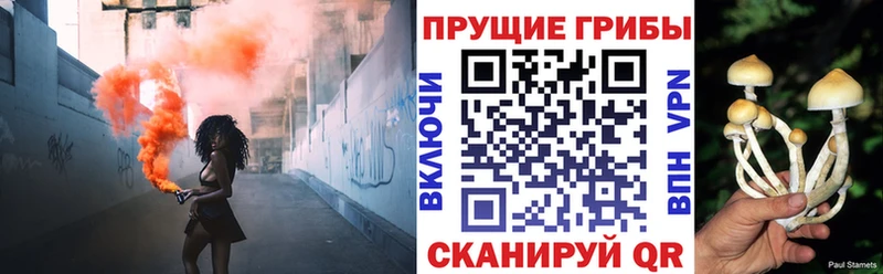 omg ТОР Игра Псилоцибиновые грибы ЛСД